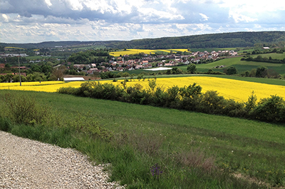 NATUR - UMWELT - KLIMA